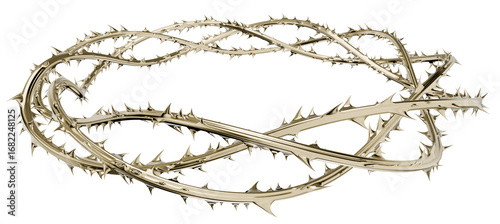 This sculptural 3D render blends dangerous thorns with an elegant, polished finish. A powerful abstract visual for faith-based and metaphorical concepts.