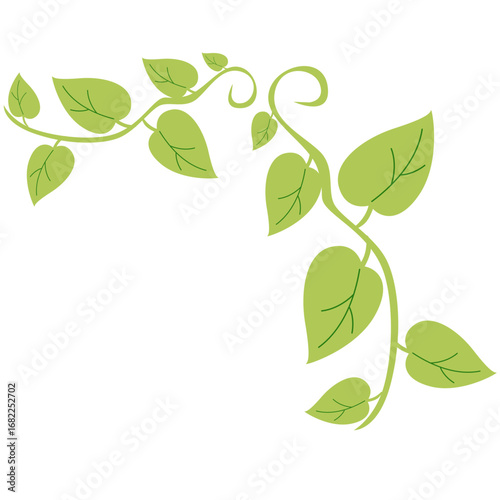 Hanging vine with light green leaves and small orange dots, decorative tropical jungle plant for eco design.