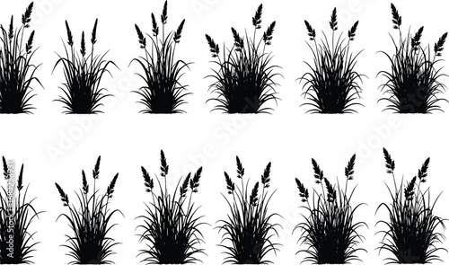 Grass silhouette set, wild grass vector, black botanical illustration, decorative nature plant, isolated lawn elements, landscape design clipart for garden use