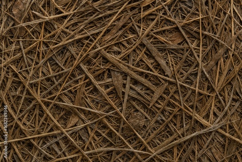 Close-up of dry yellow straw spread randomly. Organic and rustic texture suitable for agricultural, eco-friendly, or nature-related background designs.
