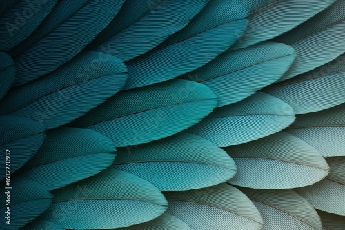 Abstract close-up of blue bird feathers with detailed texture and layering. Elegant and soft natural pattern ideal for design, background, and artistic use.