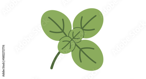 Fresh Green Basil Plant Illustration for Culinary and Botanical Themes.