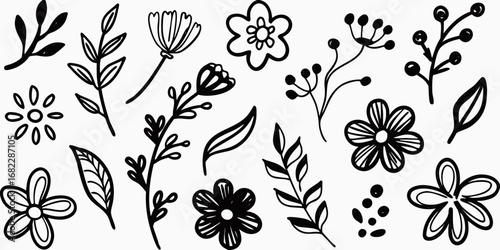 Hand drawn black and white botanical elements collection featuring flowers leaves and berries