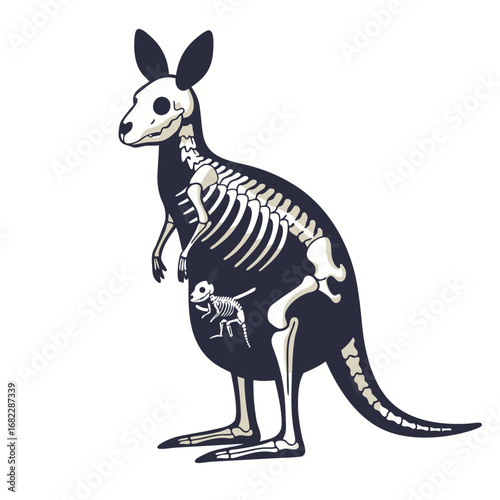 Skeletal Kangaroo and Baby Anatomy in Black and White