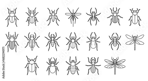 A diverse collection of insects and arachnids illustrated in outline form showing various species