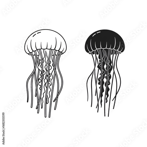 Minimalist outline and silhouette jellyfish icons for marine biology infographic design