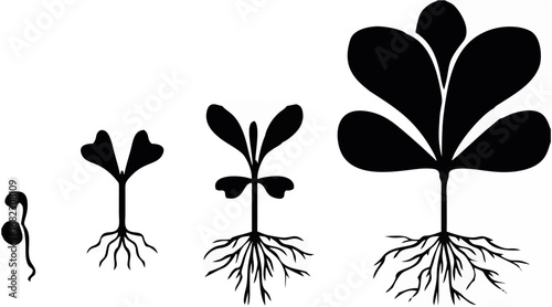 Set of silhouette plants.eps