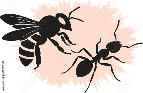 Vector Black ant and honey bee. Ant used in Chinese Medicine. Honey bee works in pollination and production of honey. EPS 10.