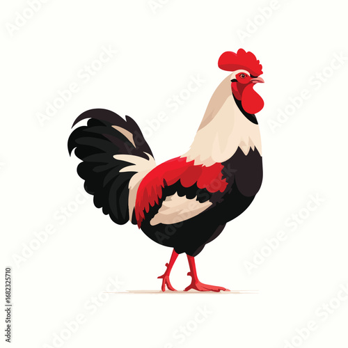 hen isolated in White Background, hen vector, Flat lay vector illustration