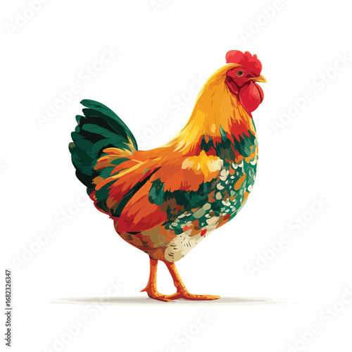 hen isolated in White Background, hen vector, Flat lay vector illustration