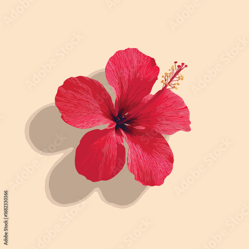 hibiscus flower isolated in White Background, hibiscus flower vector, Flat lay vector illustration