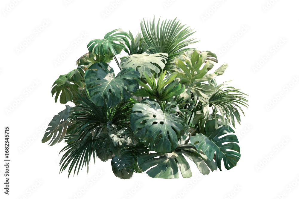 Fototapeta premium Lush tropical foliage cluster (15)