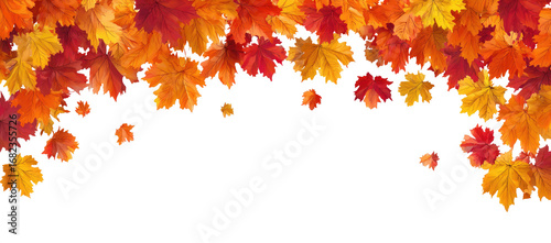 Autumn leaves fall over black background