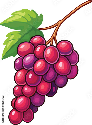 Fresh purple grapes on a branch with green leaf. Perfect for concepts of fruit, harvest, vineyard, organic food, juice, healthy lifestyle, vegetarian meals, natural sweetness, and nutrition