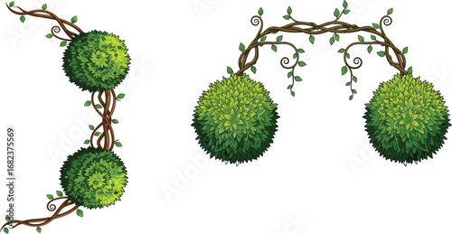 Hanging vine with topiary balls, green bush plant decor, nature garden elements, climbing leafy branches illustration for outdoor designs