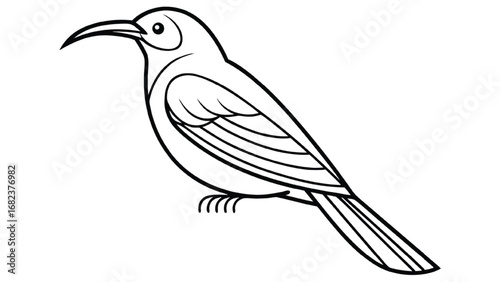 Line drawing of a bird with a curved beak on white background