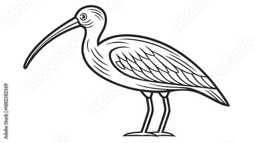 Stylized Ibis Bird Line Art wading bird long beak