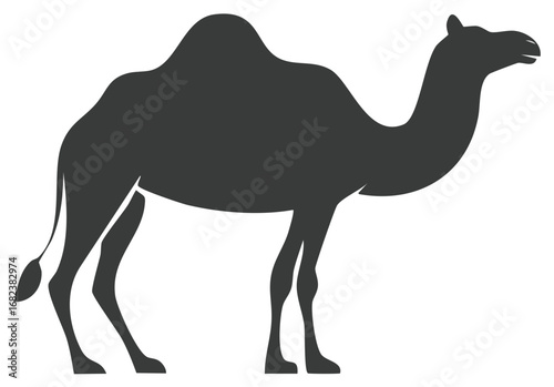 Simple flat vector icon of a standing dromedary camel silhouette