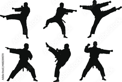 Martial arts silhouette poses with high kicks, karate and taekwondo stances, dynamic sports vector illustration, self defense training, athletic fighter, combat practice art
