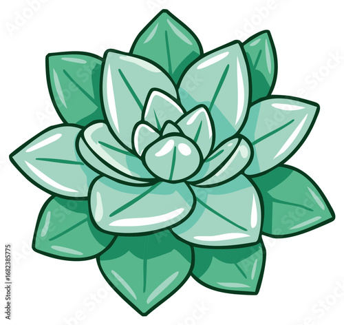 Colorful illustration of a stylized succulent plant with smooth leaves in a vibrant design
