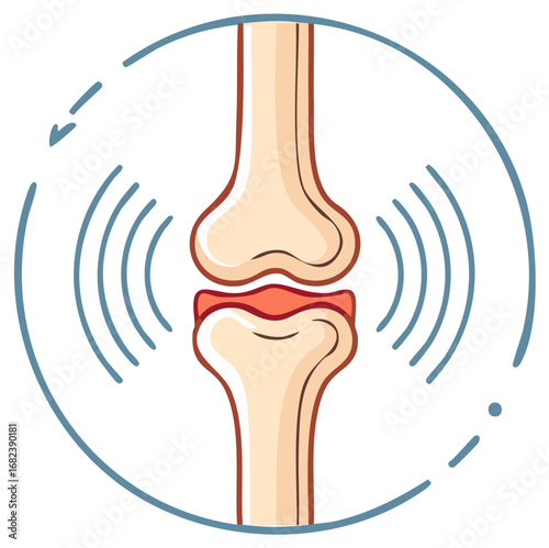 Human skeletal joint diagram illustrating bone structure and cartilage with radiating pain or movement waves