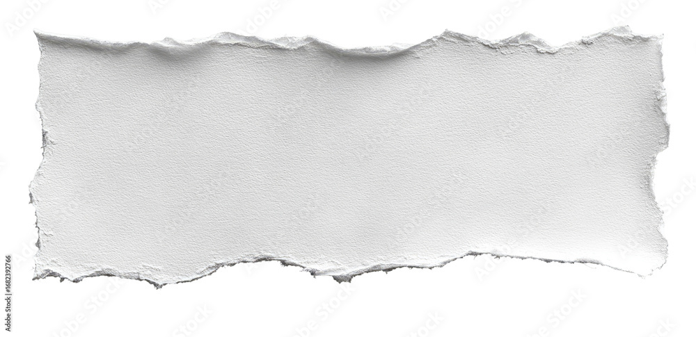 Fototapeta premium Ripped rectangular piece of white paper (8)