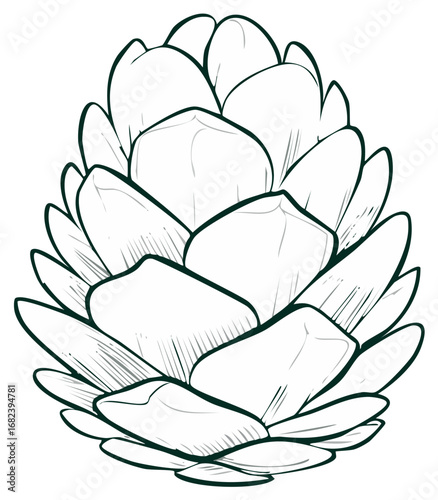 Detailed Line Art of a Pine Cone for Coloring Pages and Educational Material for Botanical Designs