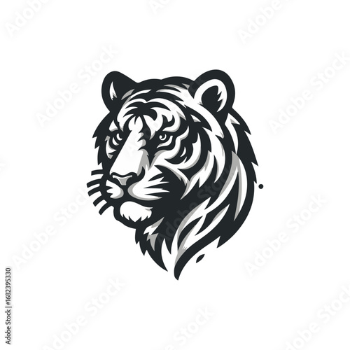 Detailed black and white tiger head illustration, focused animal.