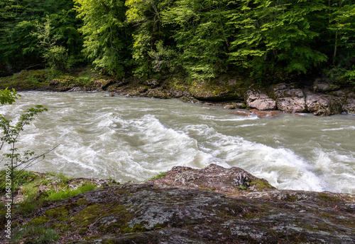 River canyon in spring on a sunny day, walking along the riverbank