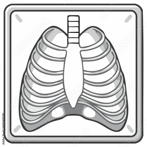Human lungs and ribs displayed in a graphic style X-ray for medical and educational purposes