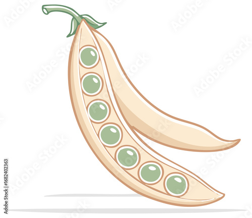 Open Pea Pod Illustration Displaying Fresh Green Peas Within the Pod