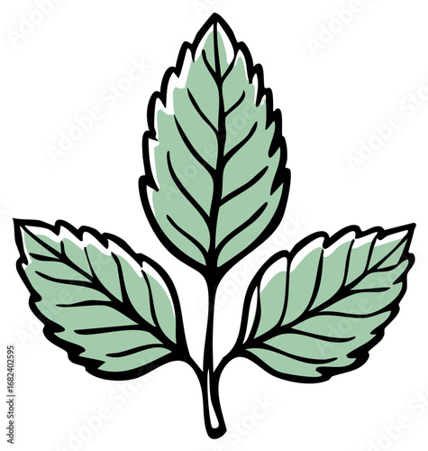 Stylized illustration of a mint sprig with three green leaves and black outlines