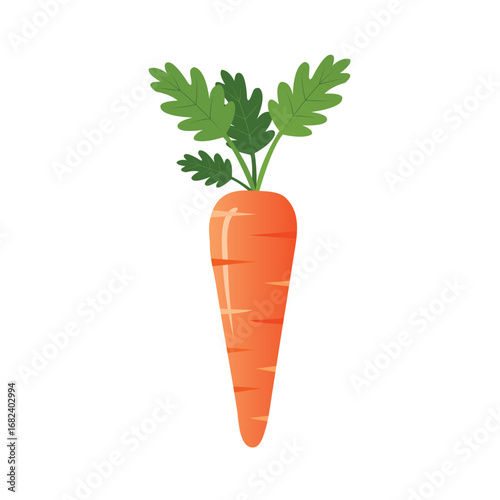 Fresh carrot with green leaves
