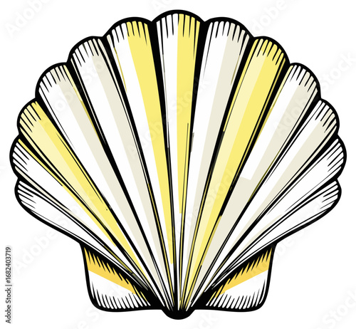 Elegant Seashell Illustration White and Yellow Decorative Seashell Nautical Graphic Element