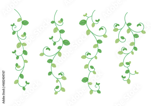 Curved green vines with fresh leaves collection curly green vines set