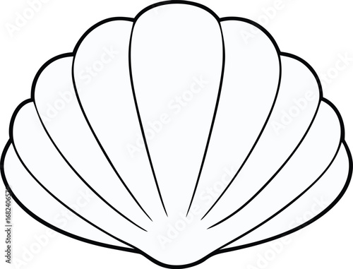Clean vector illustration of a white seashell clam isolated on a black background transparent background