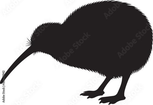 Vector black silhouette of a kiwi bird isolated on a white background