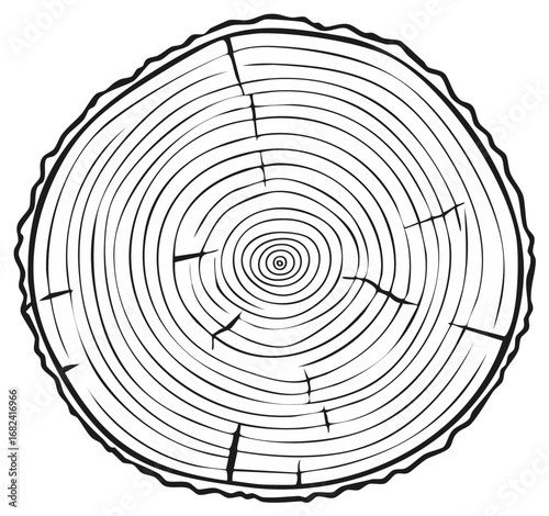 Detailed Illustration of a Wood Grain Pattern with Rings and Cracks