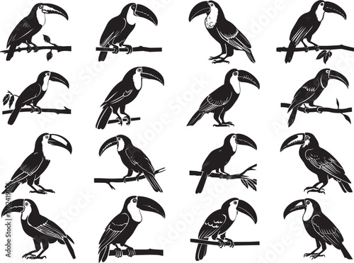 Toucan on Branch Tree Silhouette SVG