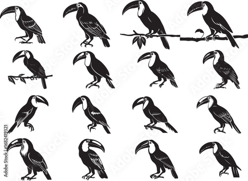 Toucan on Branch Tree Silhouette SVG