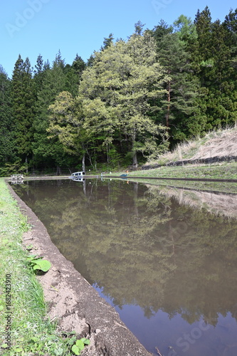 水田の水張り