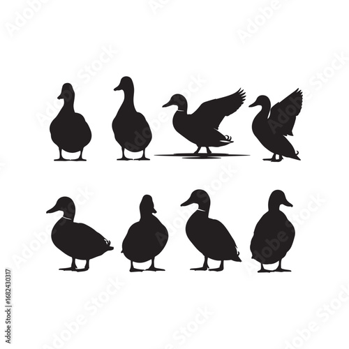 set of silhouettes of ducks, Duck silhouette set, agriculture duck set