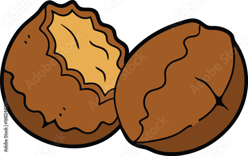 Vector illustration of cracked open brown walnut halves isolated on white transparent background
