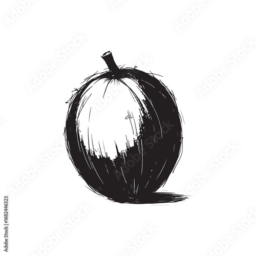 Coconut Vector (3).eps