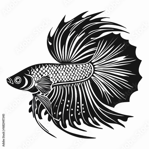 Stylized black and white vector graphic of an elegant Siamese fighting fish. This monochromatic betta splendens illustration features elaborate flowing fins and is isolated on a white background