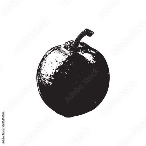 Passion Fruit Vector (2).eps