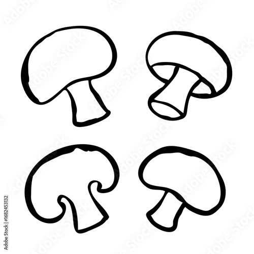 Hand Drawn Mushrooms