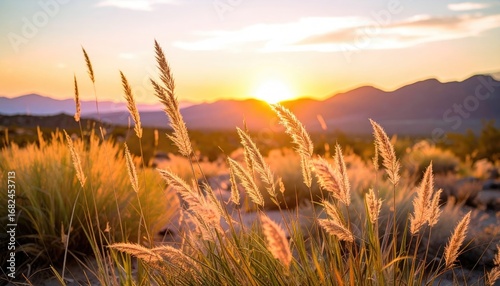 Golden sunset bathes tall, wild grasses in warm light, with distant mountains in soft focus. A peaceful, natural scene