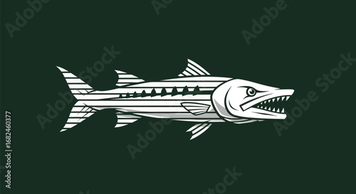 Detailed illustration of a barracuda fish with sharp teeth and striped body.