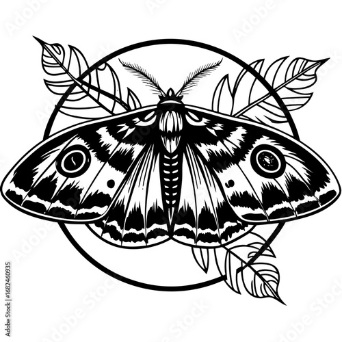 butterfly silhouette vector
